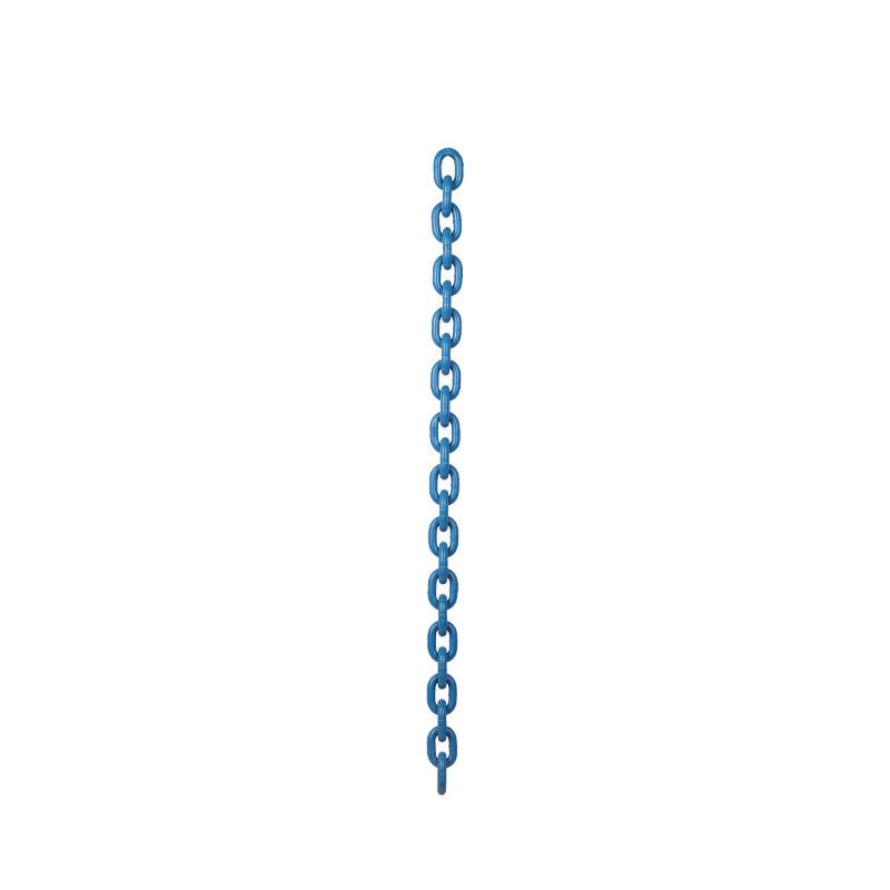 Heavy Duty G100 Load Chain Blue Link Chain