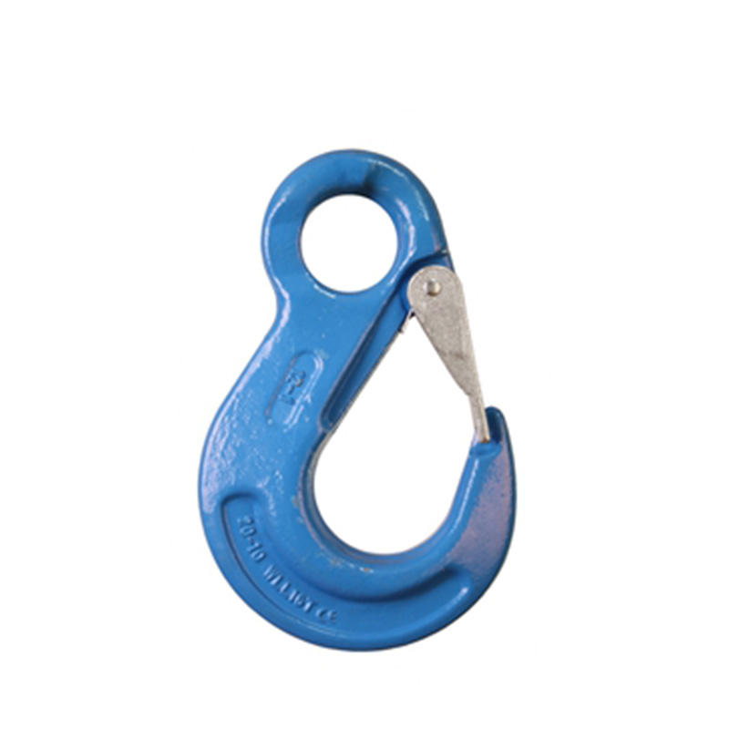G100 eye sling hook with latch